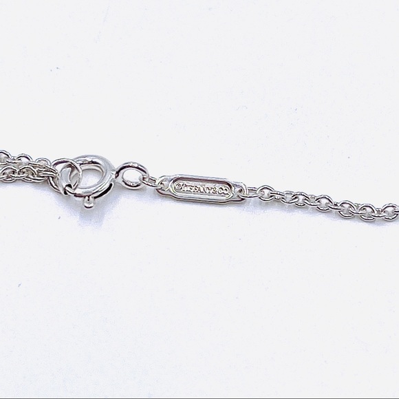 Tiffany & Co. Oval RTT Splash Tag & Necklace - Picture 7 of 9